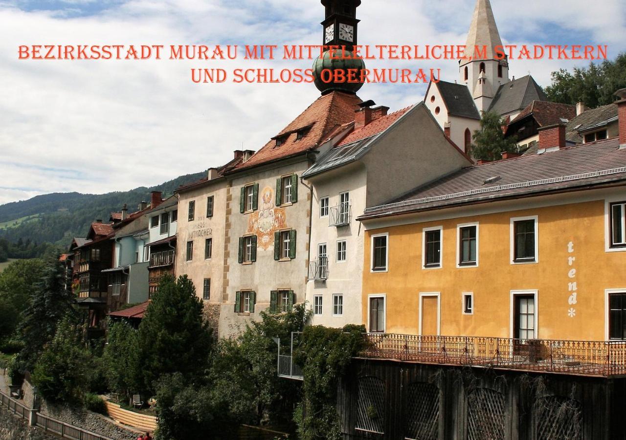 Fewo Gabi Haus Pacher Sankt Peter am Kammersberg Exterior foto